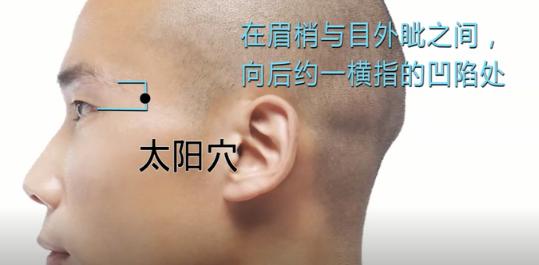 人体经络穴位