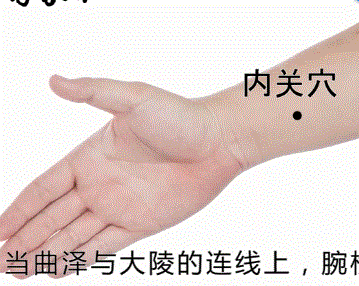 人体穴道