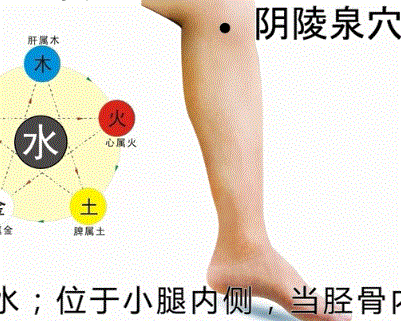人体穴位图解