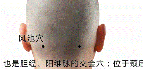 人体穴位