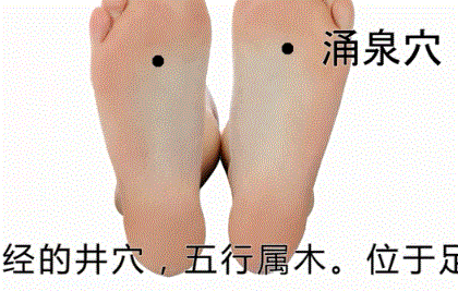 人体有几大穴位