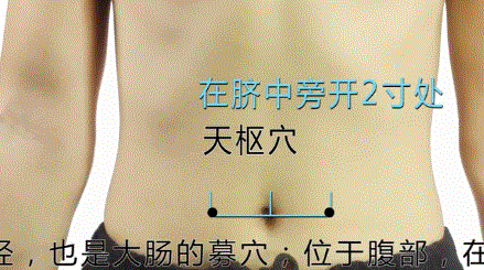 人体的穴位具体位置