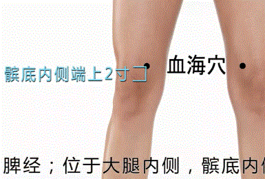 人体经络穴位大全