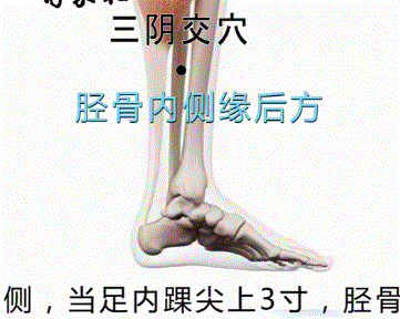 人体全身穴位