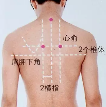 心俞穴准确位置图