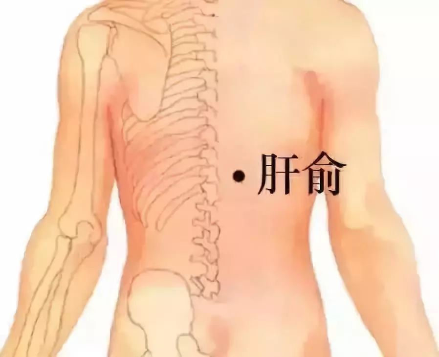 气血不足艾灸穴位 