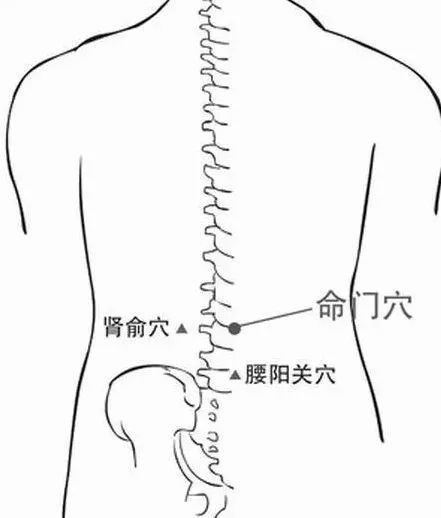 肾虚艾灸穴位