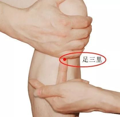 足三里穴准确位置图