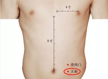 天枢穴
