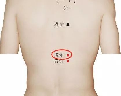 艾灸起到补气作用