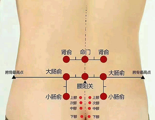 八髎穴位位置图