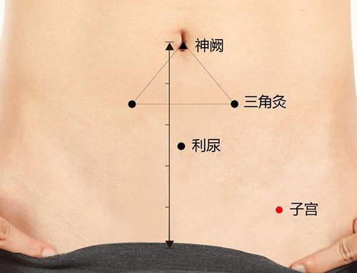 归来穴
