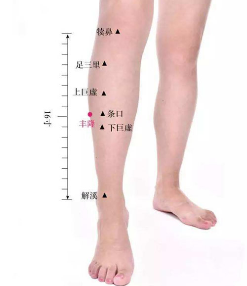 艾灸减肥丰隆穴
