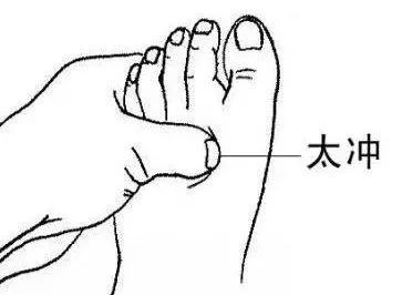太冲穴