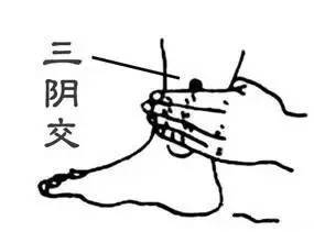 三阴交