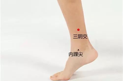三阴交穴