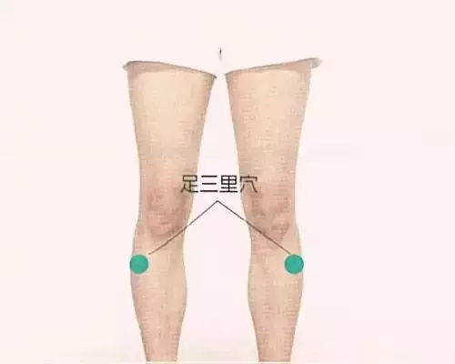 足三里穴
