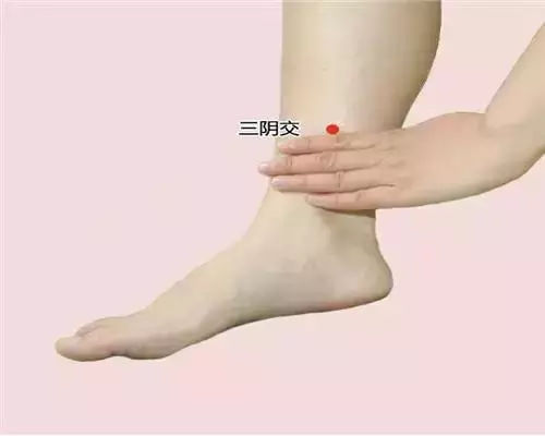 三阴交穴