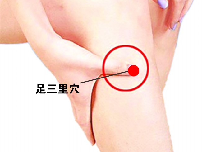 足三里穴