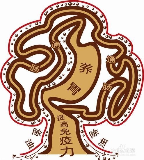 急性胃疼可立竿见影