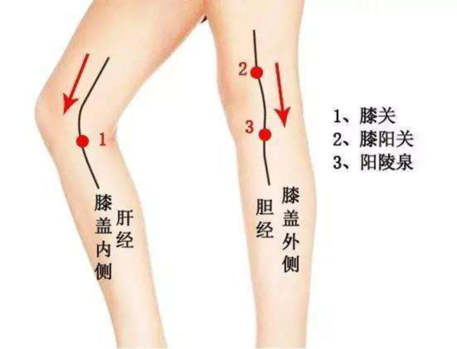 阳陵泉穴