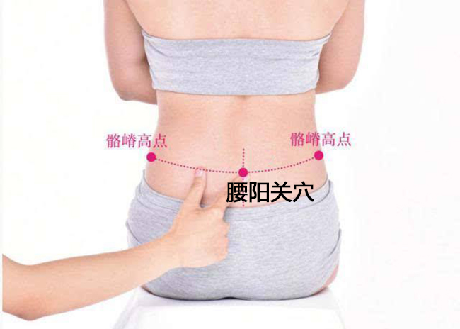 腰阳关穴