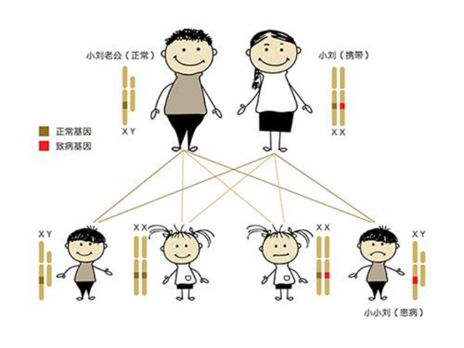 什么是肝功