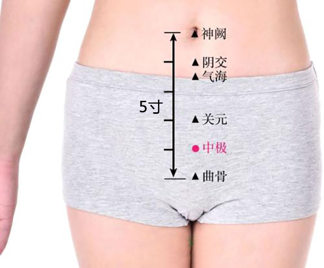 中极穴