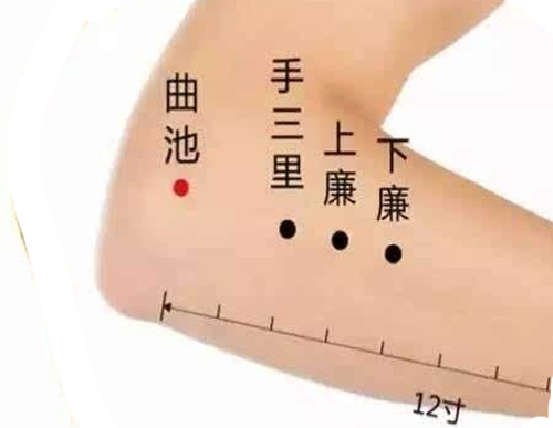 曲池穴