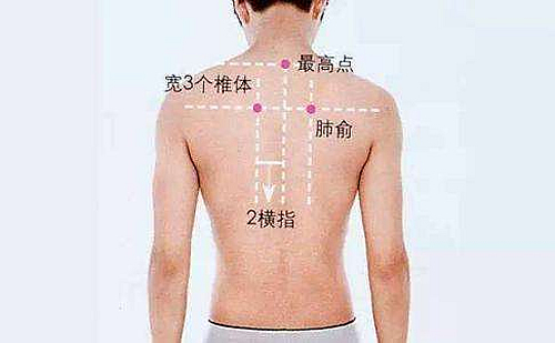肺俞穴