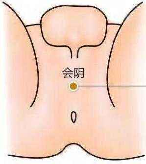 会阴穴
