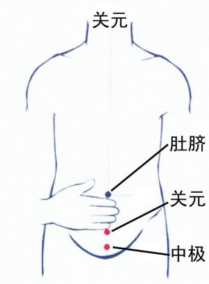 中极穴
