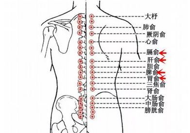 怎么用艾灸去湿