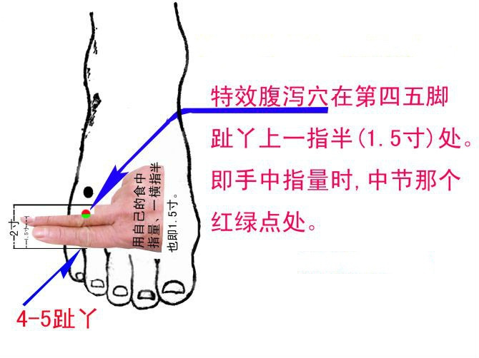 临泣穴