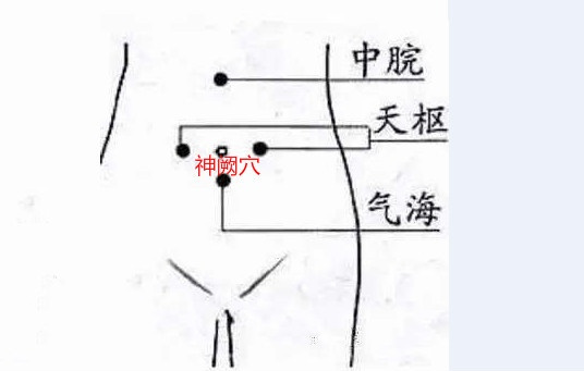 神阙穴