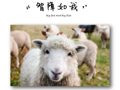艾灸是什么?什么是艾灸