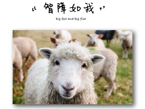 什么是艾灸