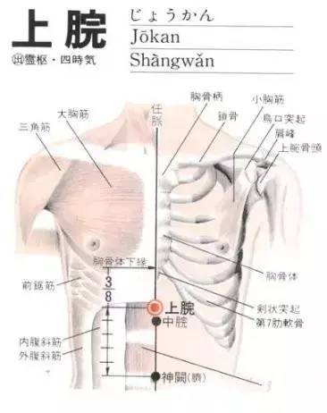 上脘穴的位置