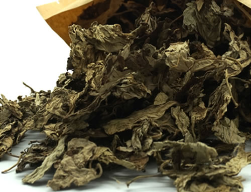 艾草熏房间有什么作用