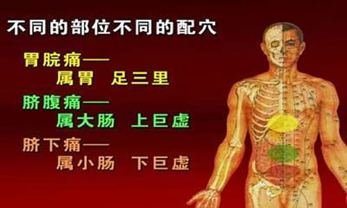 艾灸治胃病