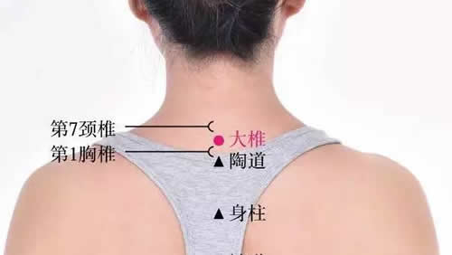 大椎穴穴位位置