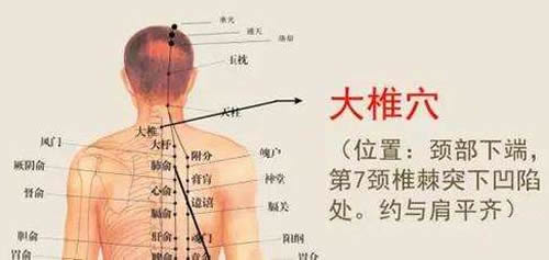 大椎穴穴位位置