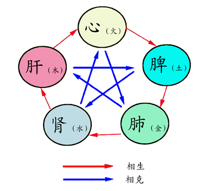 黄帝内经白话文下载在线阅读