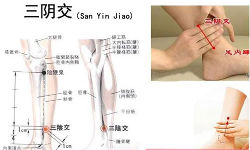 三阴交穴位图