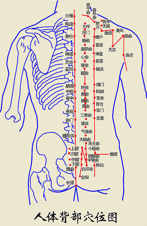 闲时多刮刮背拉通经络
