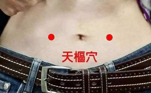 天枢穴位位置图