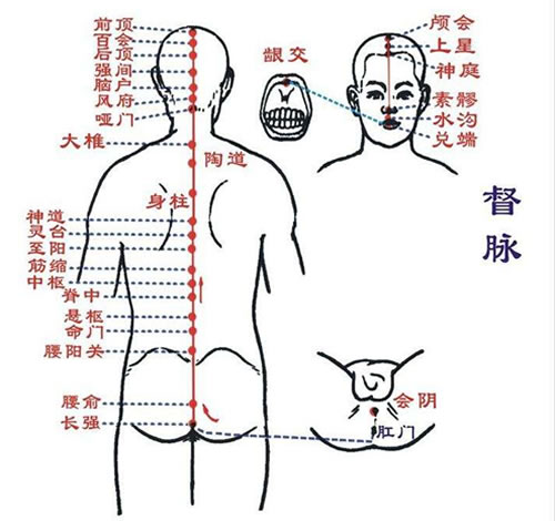 督脉穴位