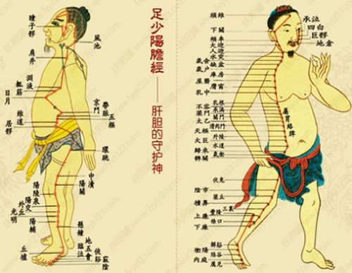 督脉穴位