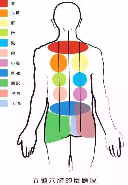如何去湿毒艾灸透这条经