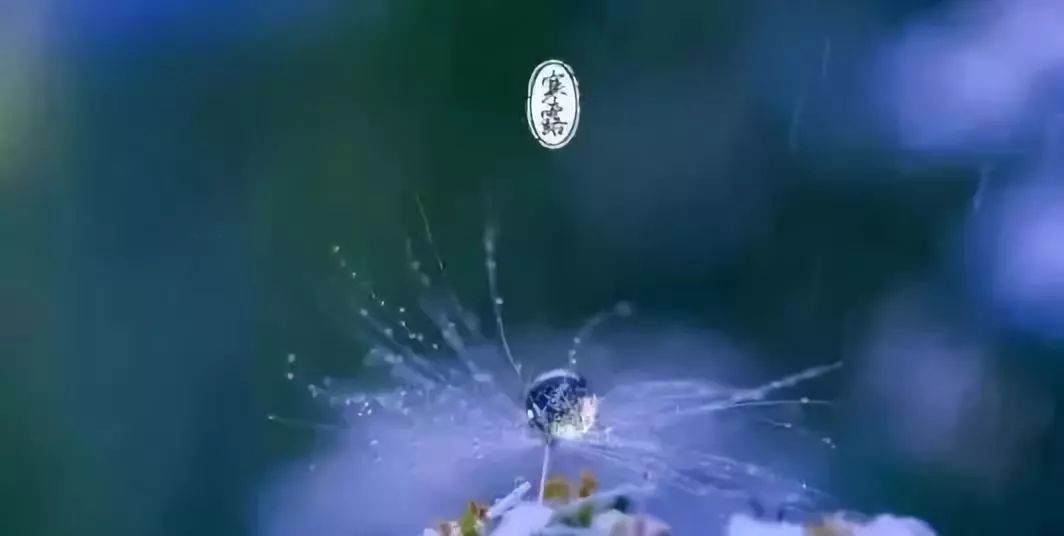 寒露艾灸部位有哪些